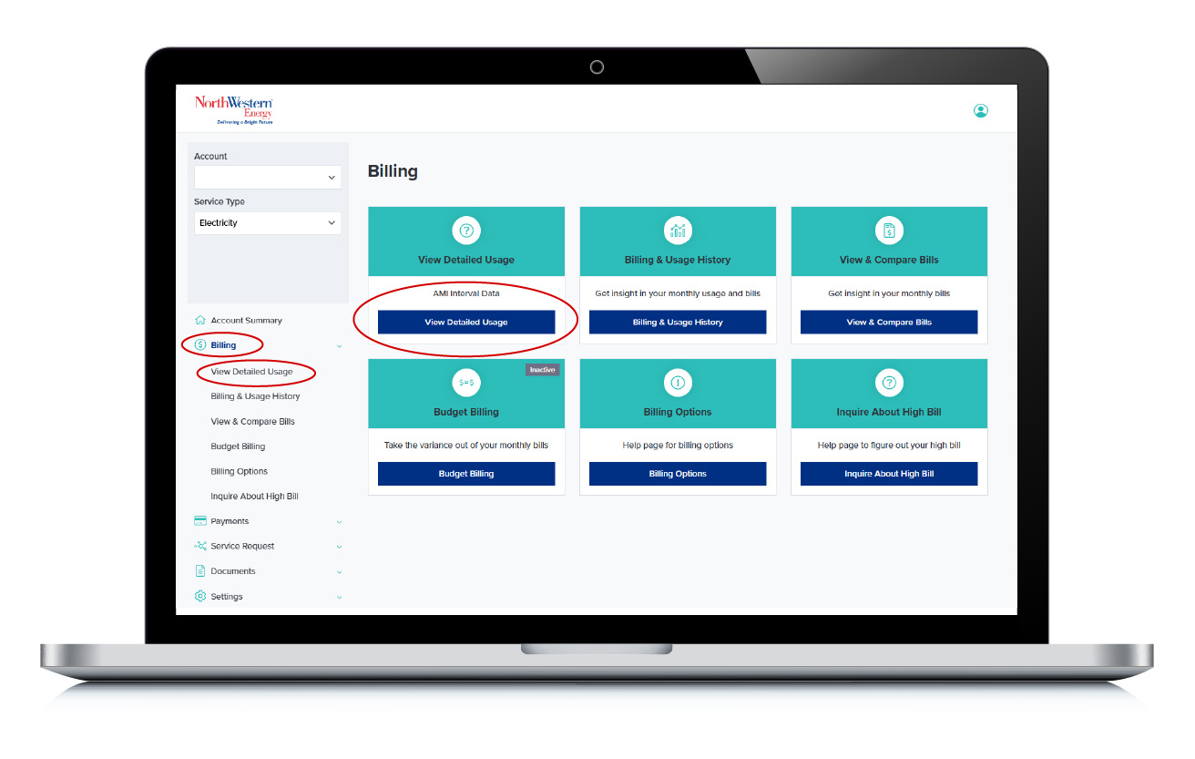 screen grab displayed on a laptop showing how to find detailed usage in My Energy Account